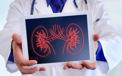 Melatonina protege daño renal por la obesidad asociada a la diabetes