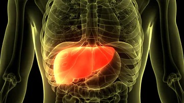 La gastrectomía y la derivación gástrica reducen la grasa hepática en diabetes de tipo 2